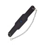 BX Dipping Belt Price in Pakistan