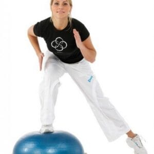 Bosu Balance Trainer2