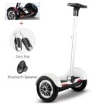 Hoverboard Electric Scooter Bluetooth Speaker With LED 2