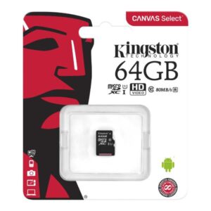 Kingston 64 GB SD Card Class 10 MSD C10 80 MBPS