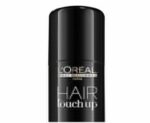 LOreal Professionnel Hair Touch Up Spray