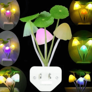 mushroom lamps