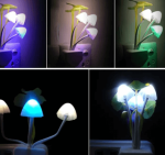 mushroom lamps