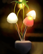 mushroom lamps