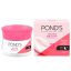 Pond's White Beauty Night Cream