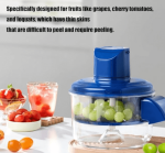 Fruit Peeler Machine Pakistan