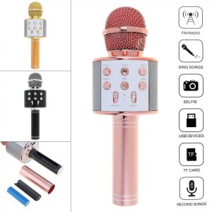 Wireless Microphone Hifi Speaker