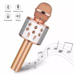 Wireless Microphone Hifi Speaker