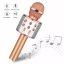 Wireless Microphone Hifi Speaker